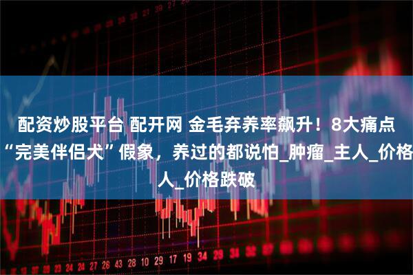 配资炒股平台 配开网 金毛弃养率飙升！8大痛点撕开“完美伴侣犬”假象，养过的都说怕_肿瘤_主人_价格跌破