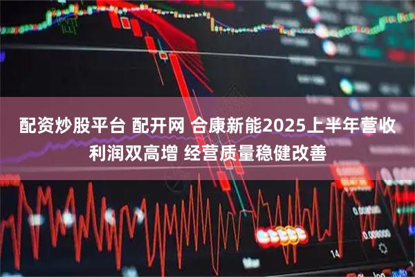 配资炒股平台 配开网 合康新能2025上半年营收利润双高增 经营质量稳健改善